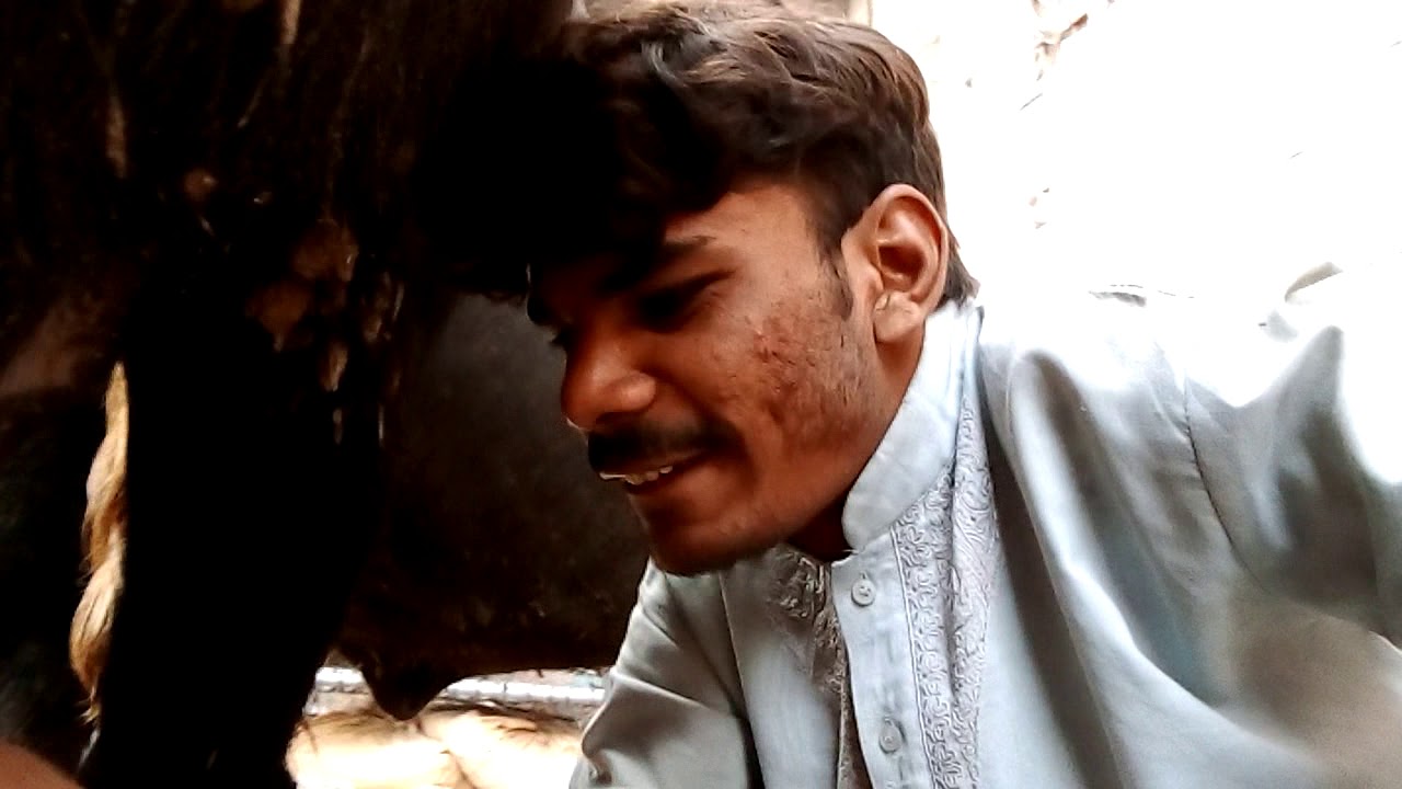 Please noshikhan