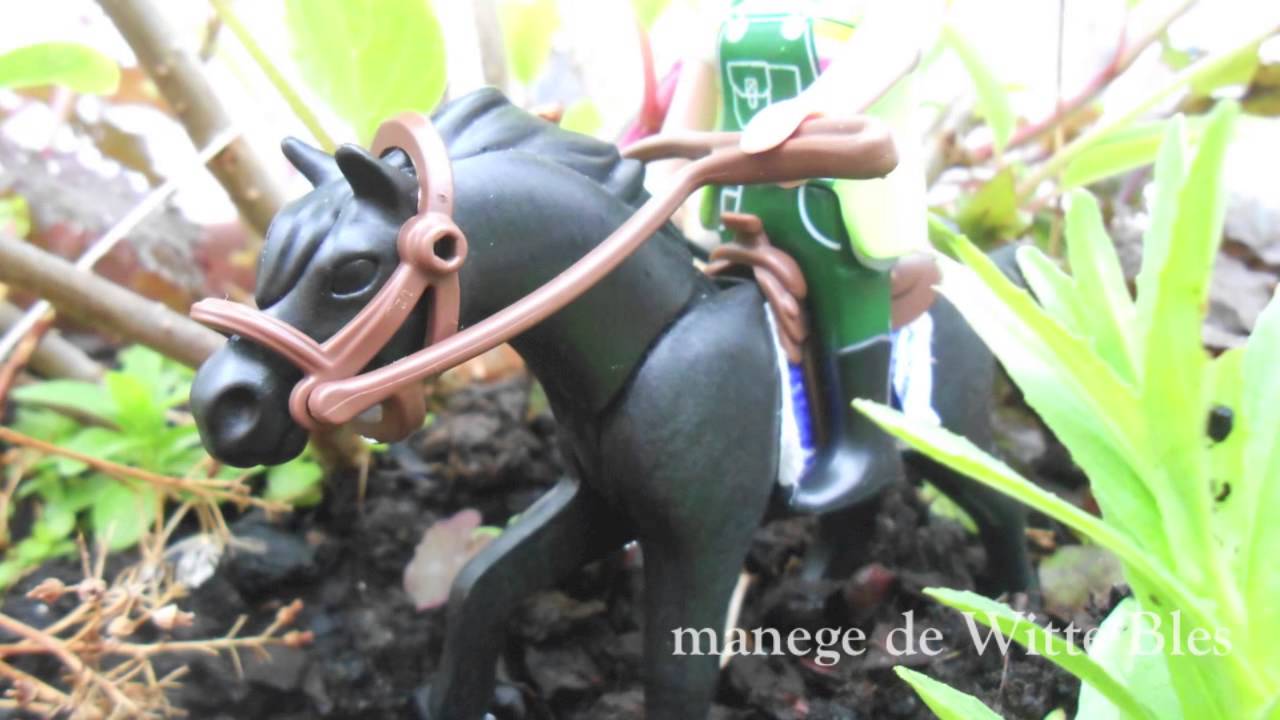 Playmobil manege de Witte Bles - Ponykamp !