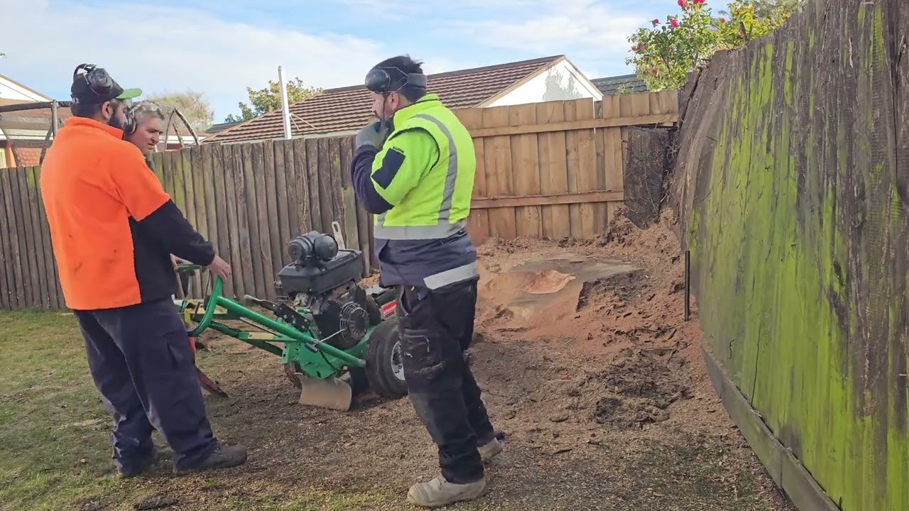 Giant stump grinding while the machine bogged down on me 