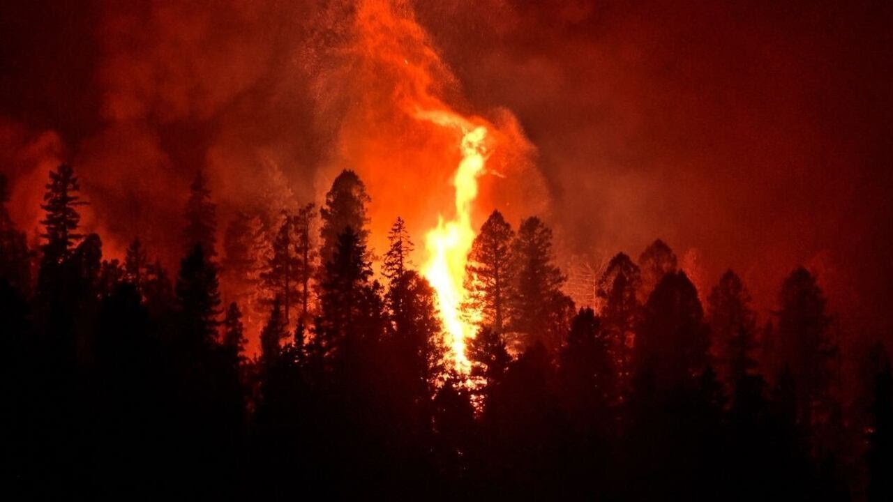 East Texas braces for elevated wildfire risk early in 2026
