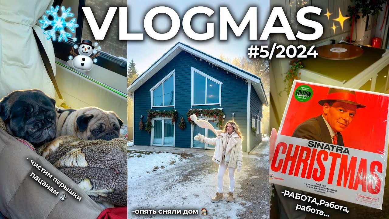 VLOGMAS 2024☃️*5 Рабочие и ДОМАШНИЕ будни декабря, ПРЕДновогодняя суета и много работы