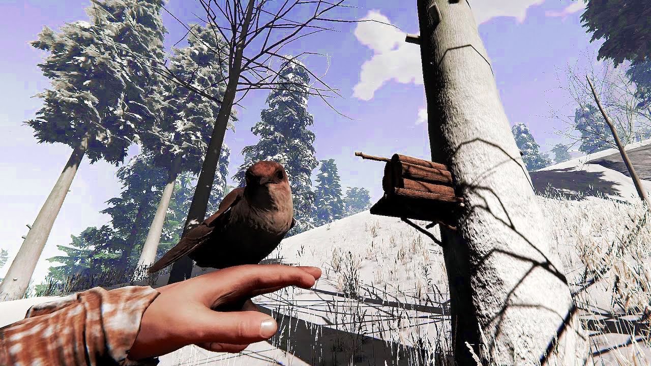 Evolution of THE FOREST 2014 - 2019