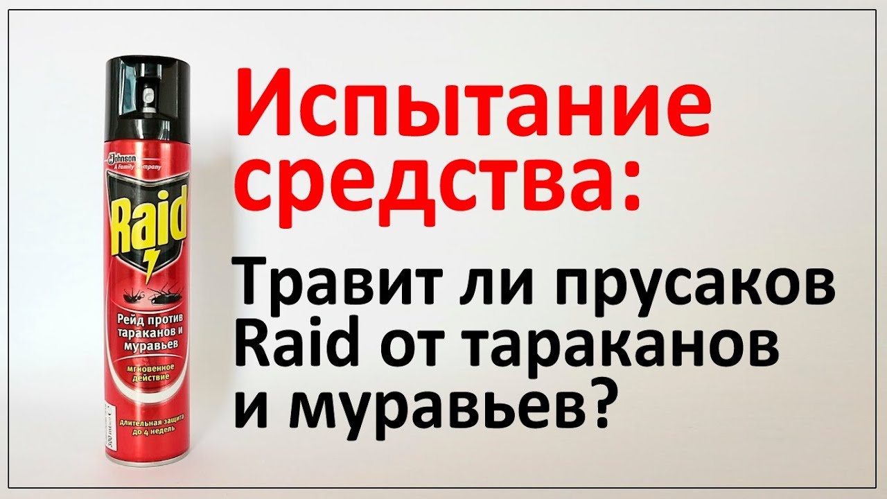 Рейд от тараканов и муравьев убил прусаков за 8 минут