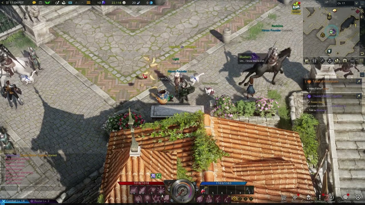 Lost Ark  - Crazy Pet Tutorial