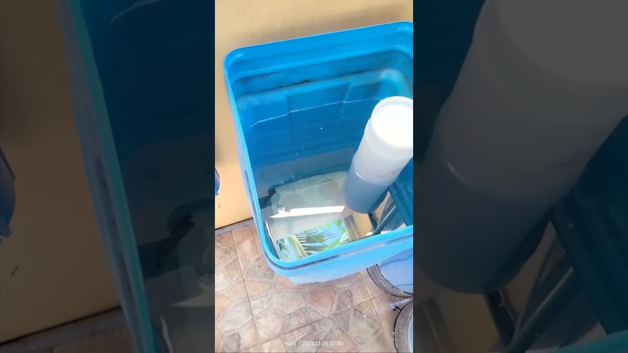 Water Softener Manual Backwashing