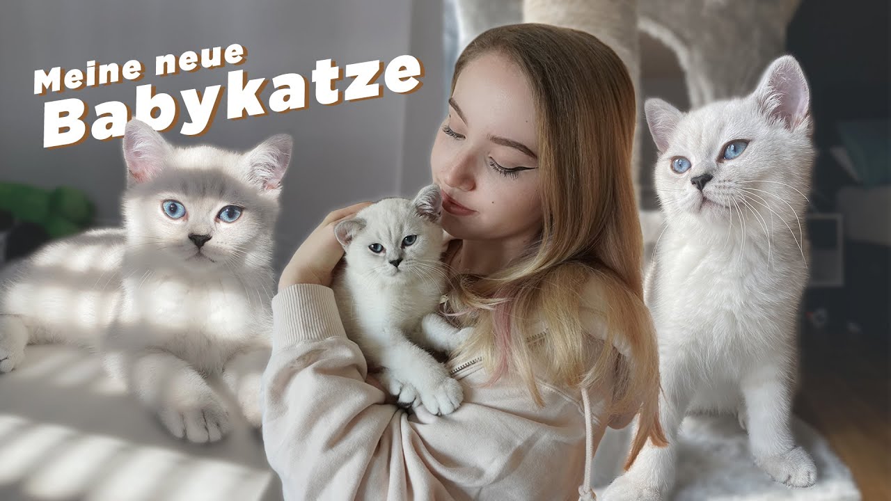 MEINE BABYKATZE TABBY ZIEHT EIN! 🏠