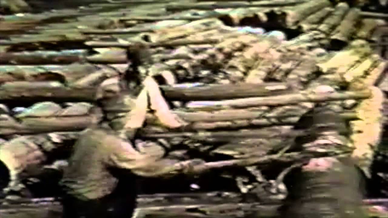 Central PA Logging Sheffield, Warren County 1926