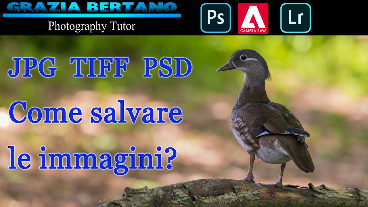 JPG TIFF PSD Come salvare le immagini?