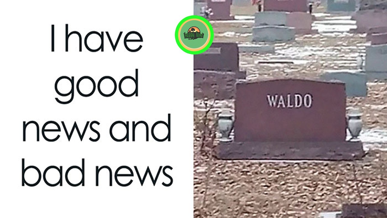 Feel-Good Memes That Might Instantly Fix Your Mood