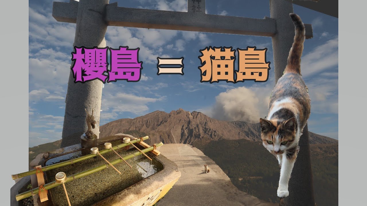 (5)櫻島呀櫻島-不如叫貓島啦！@經過七十一＂日＂秋與冬