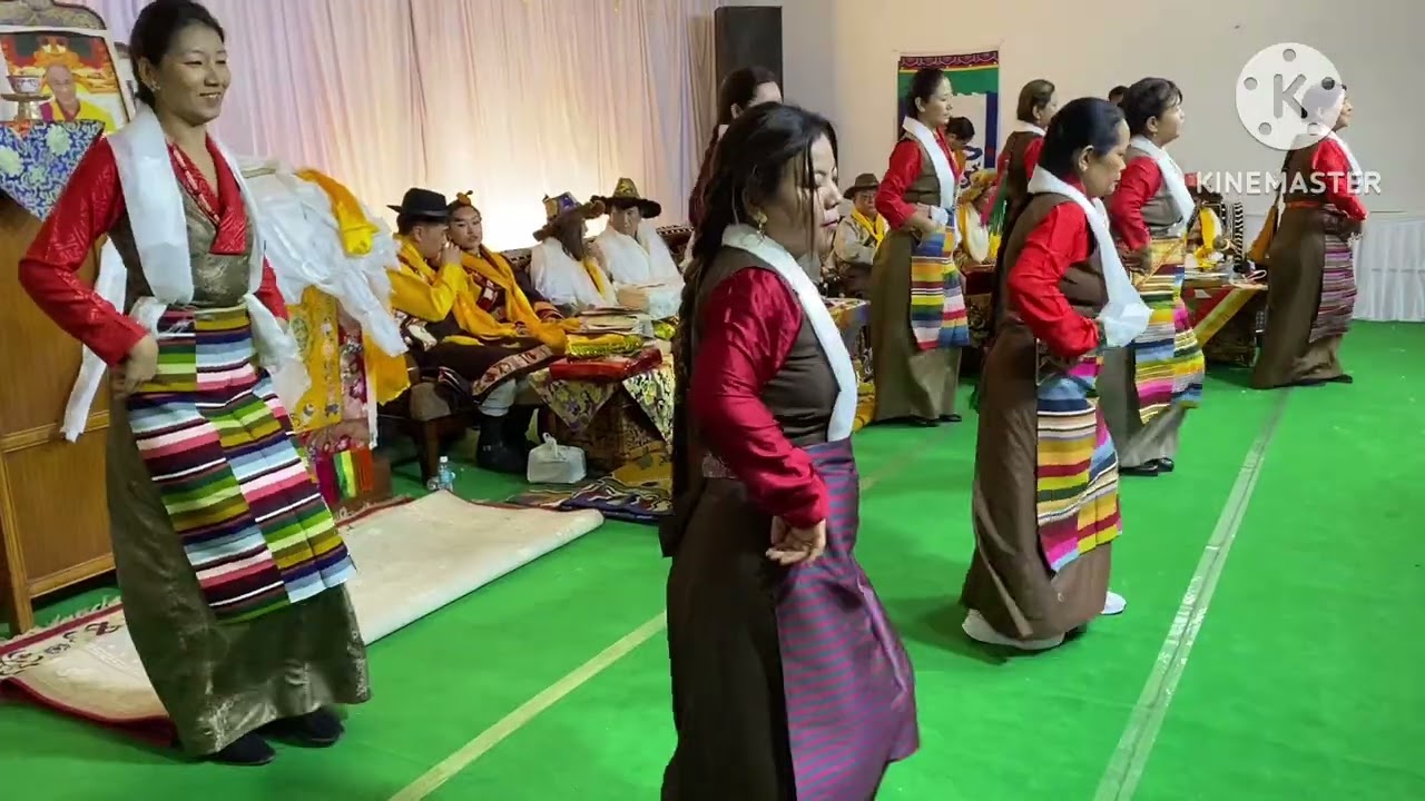 Tibetan wedding dance performed by beautiful ladies😍😍🤩🤩#tibetanyoutuber #tibetanvolgger #bawalhamo 