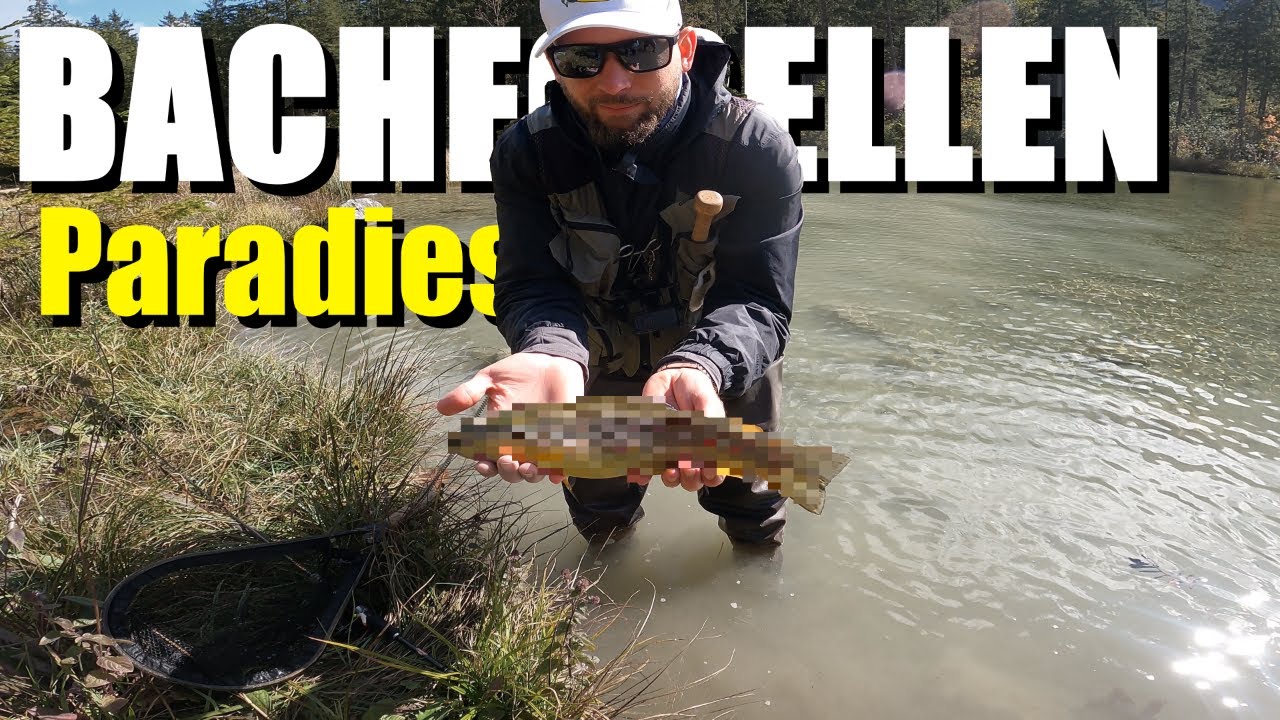 Fischen im Paradies Hintersee Ramsau - Natur pur!🎣❤️