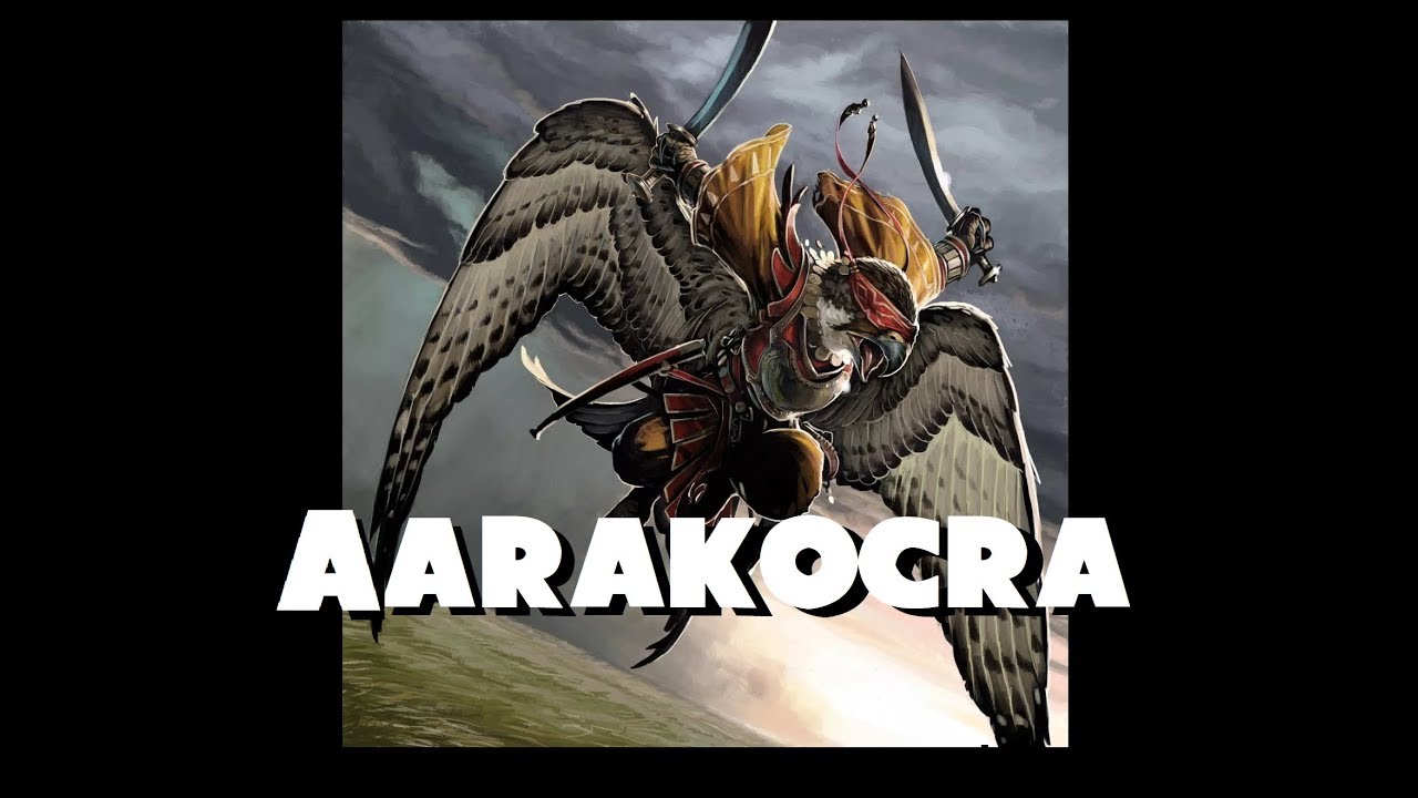 Dungeons and Dragons Lore: Aarakocra