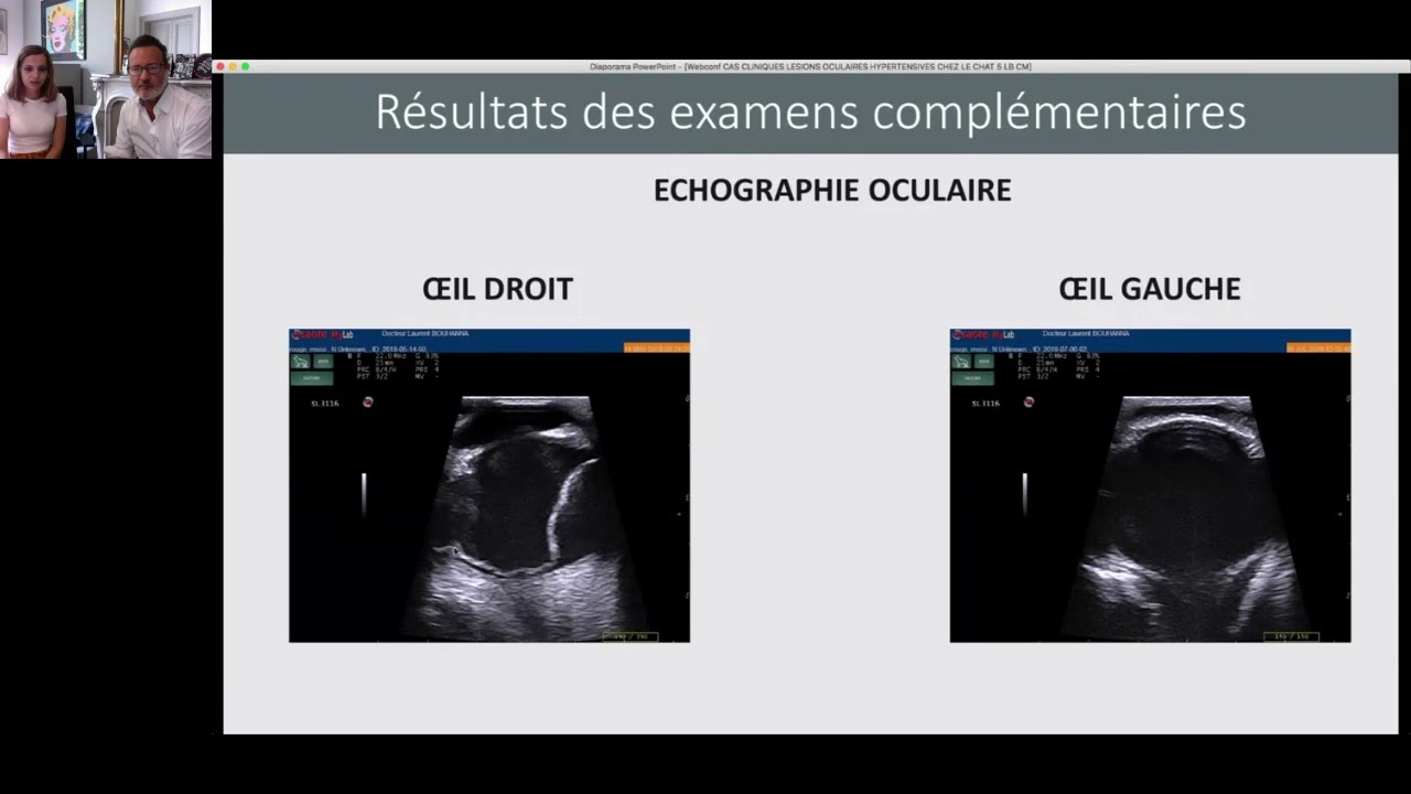 Cas cliniques interactifs sur les lésions oculaires liées à l'hypertension artérielle féline