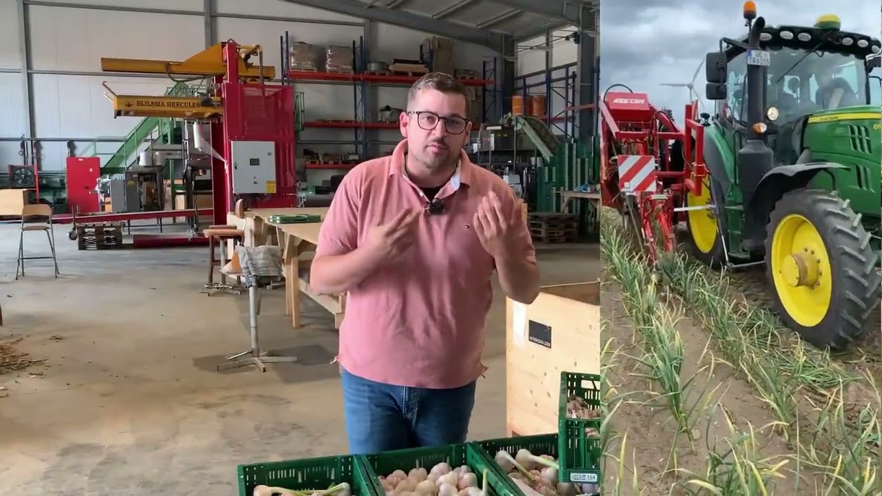 Knoblauch aus der Region