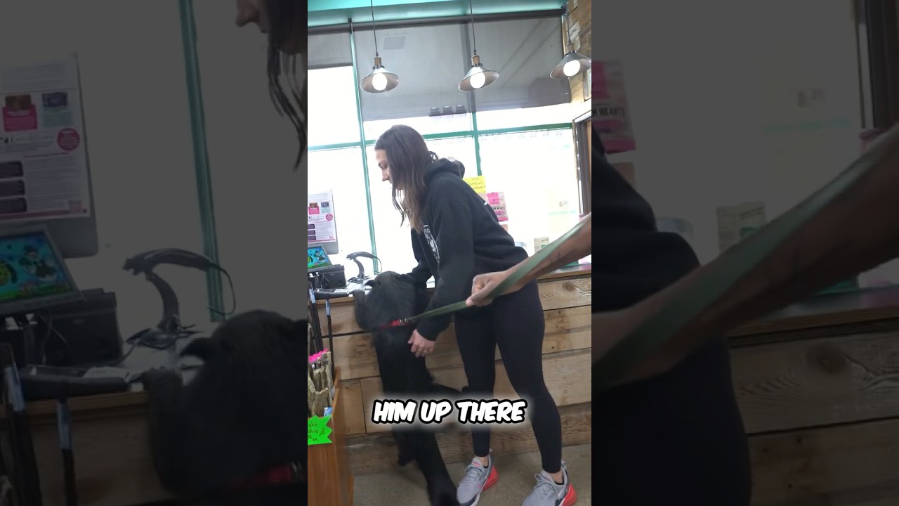 Amazing Binturong Interaction🧸🐈&zwj;⬛🤯Unique Animal Experience!