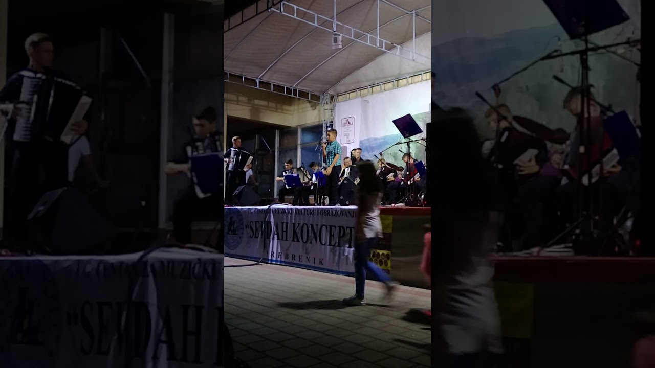 Vedin Mustafic - Sada kad se rastajemo