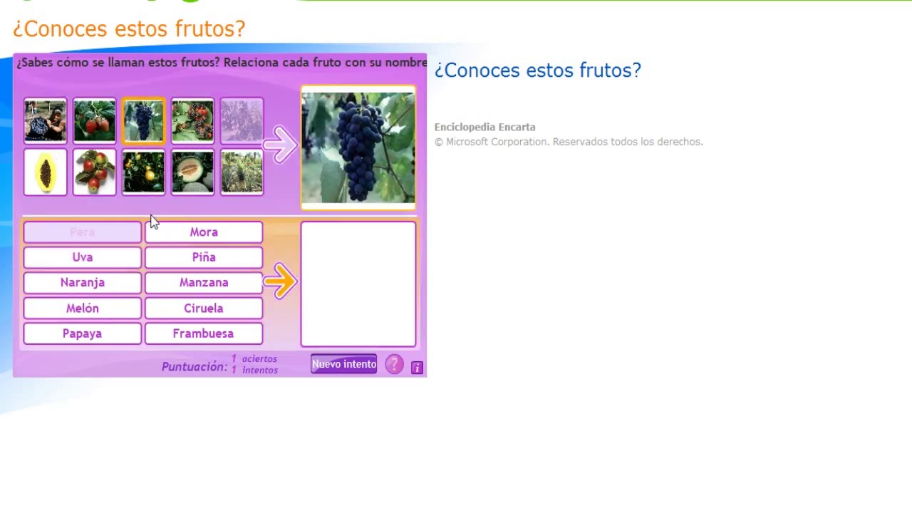🎮🎮 Conoces estos frutos 🎮🎮