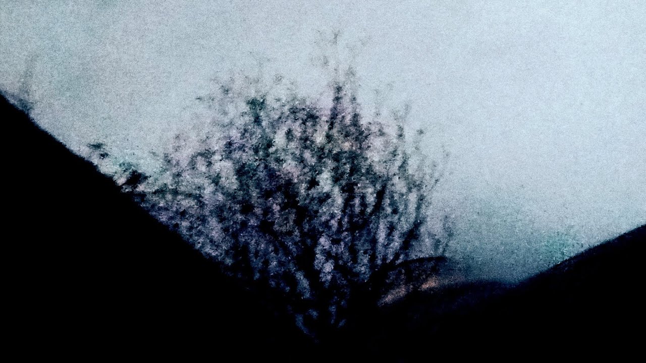 [K3N00PSYY EP] 