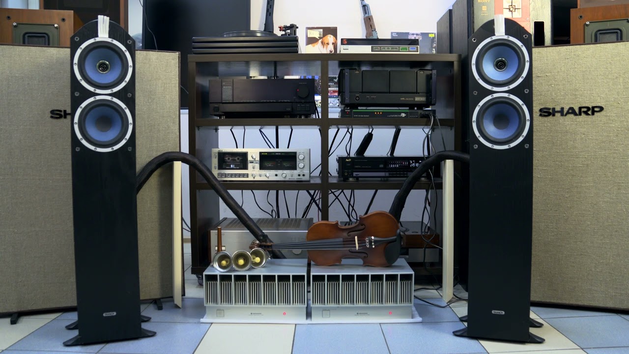 TANNOY Eyris DC3