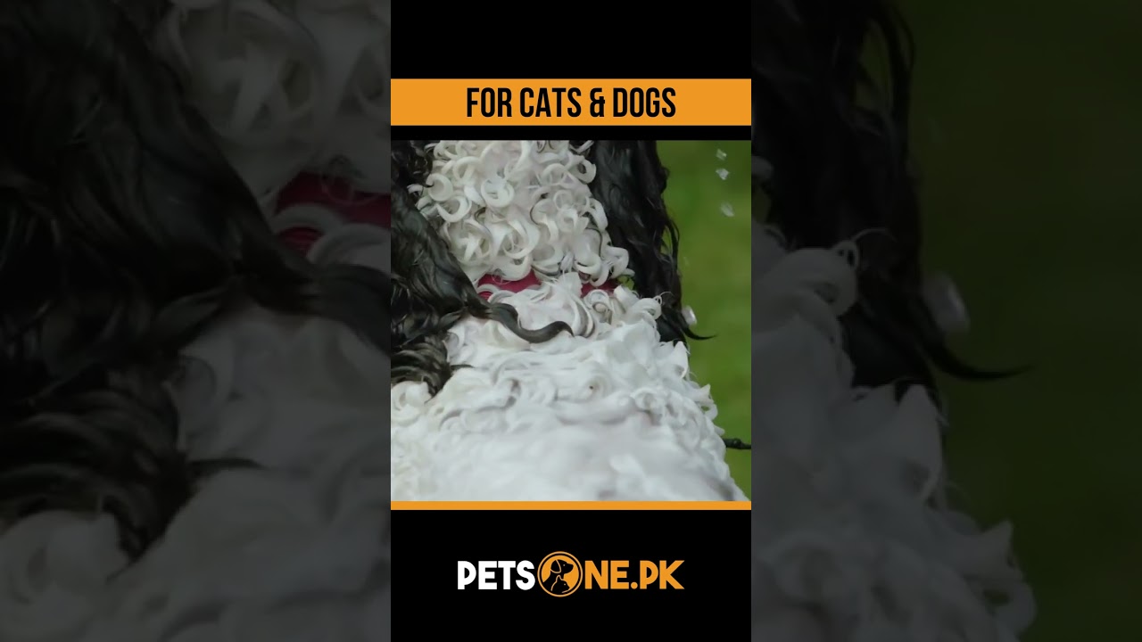 Fluff n Buff Shampoo For Pets