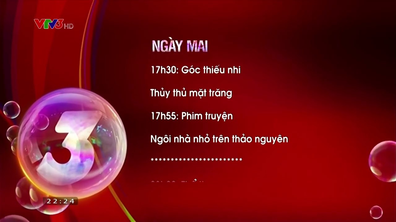 VTV3, 05/1996
