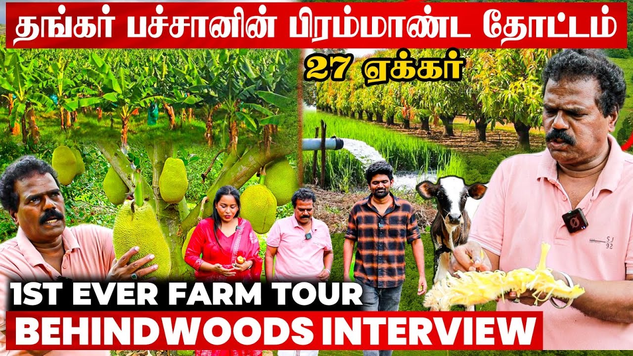 27 ஏக்கர் தோட்டம்! மாடு, கோழின்னு இயற்கை வாழ்க்கை! நம்ம Thangar Bachan-ஆ இது😮 1st Ever Farm Tour