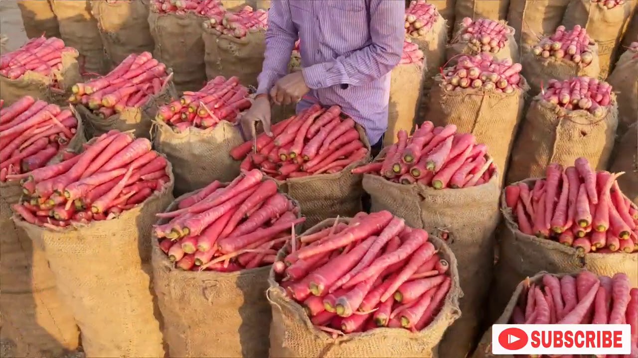 गाजर की खेती से किसान कमा रहे हैं 2 लाख रु बिना मार्केट ले जाए Carrot 🥕 Farmers carrot farming