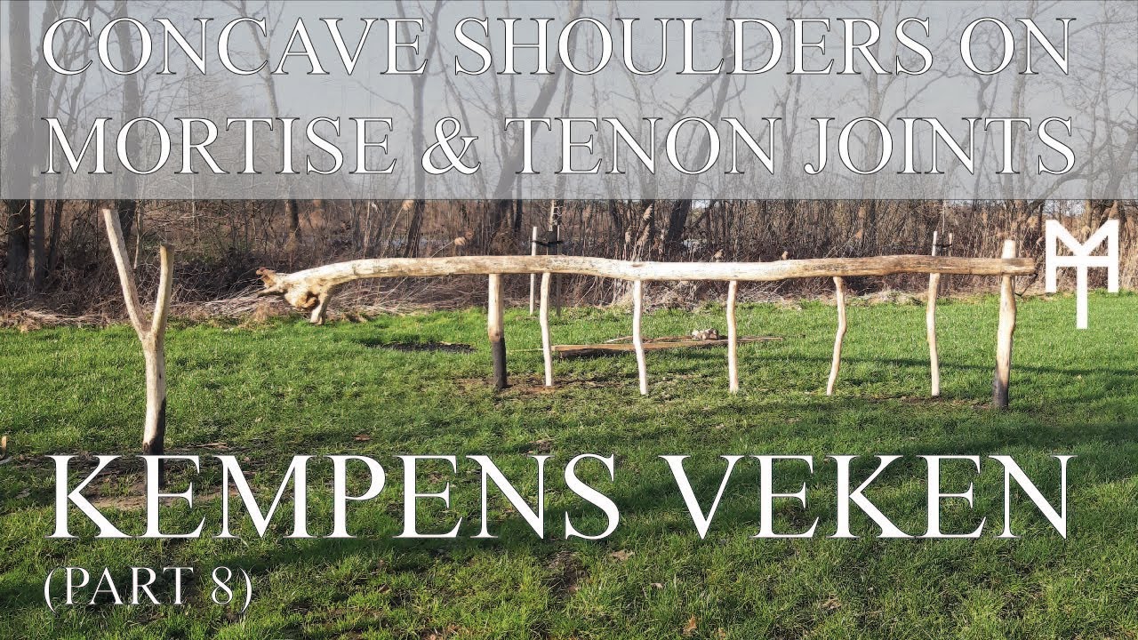 Making a field gate with a complete laying tree - Kempens Veken - Part 8