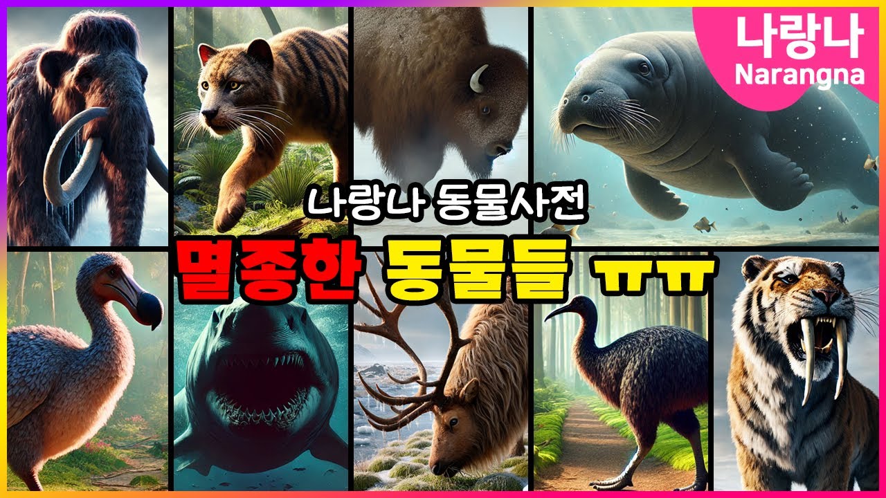 지구에서 멸종한 동물들 | 나랑나 동물사전