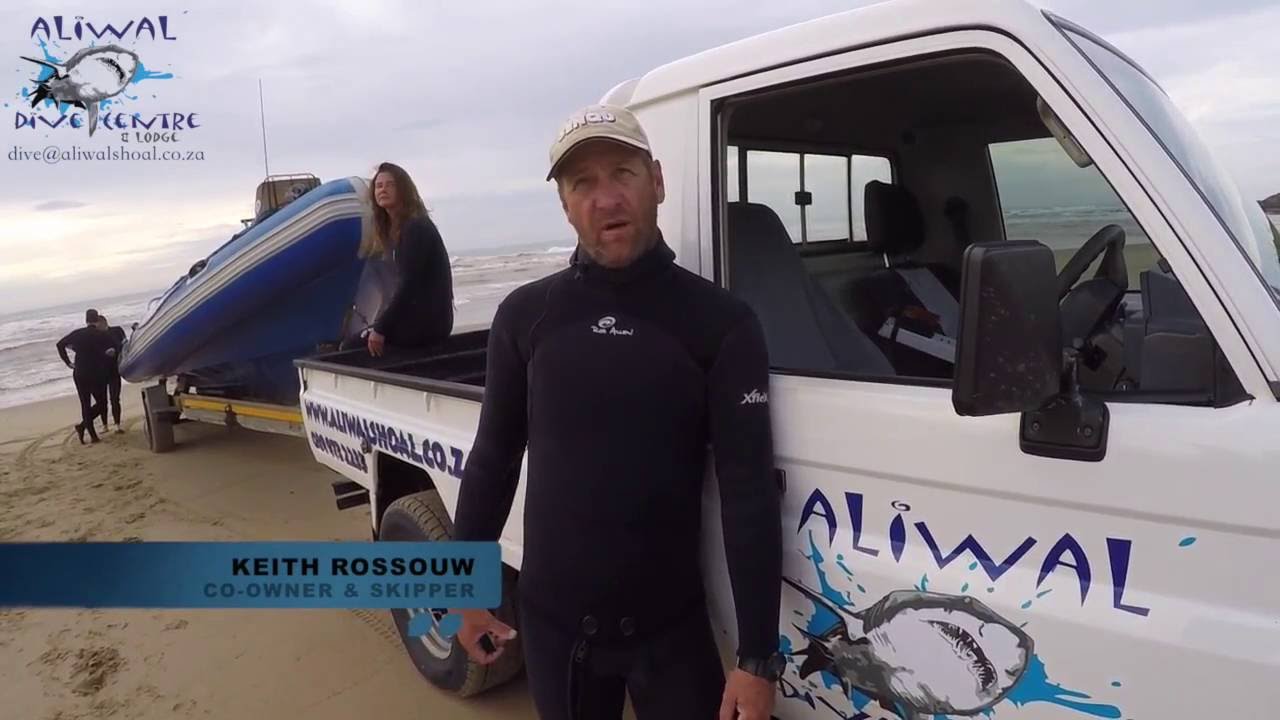 aliwal dive centre 2017 promo