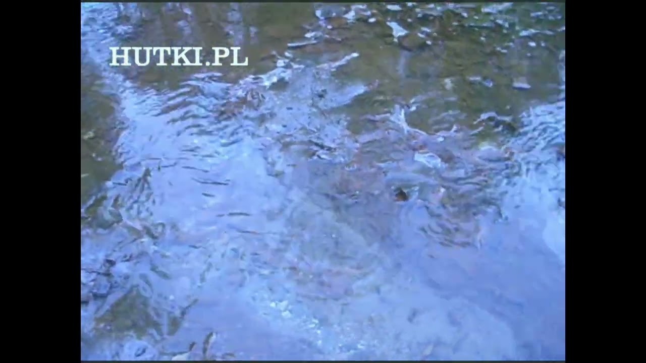 Hutki sztolnia Ponikowska napełnia się wodą