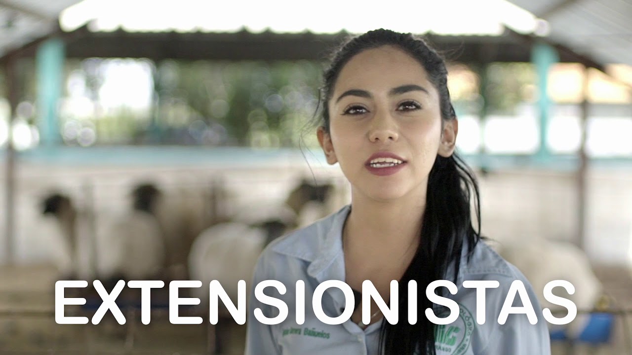 EXTENSIONISMO JOVEN ITVG