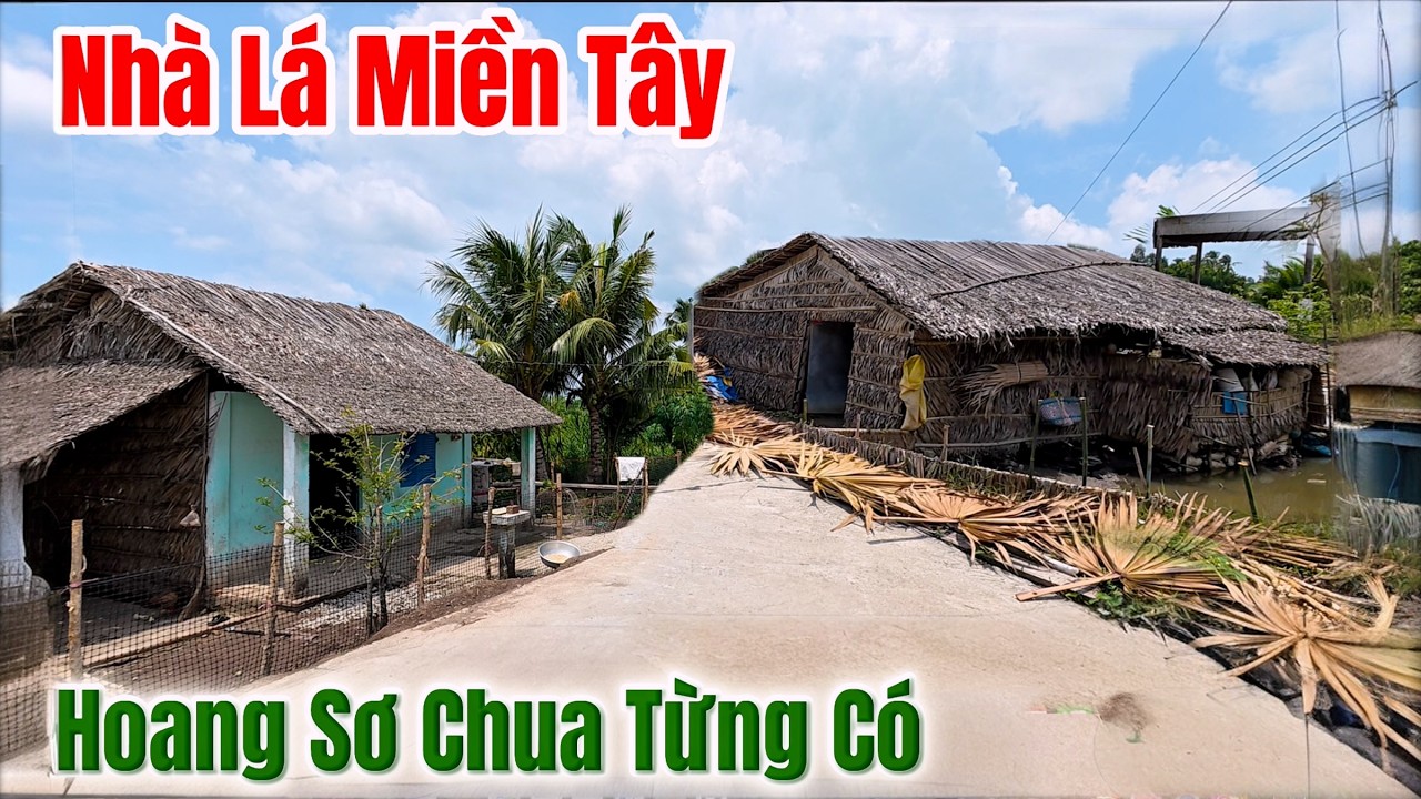 Vùng Quê Bình Yên Tỉnh Lặng Đến Không Ngờ, Khám Phá Đường Quê Vắng Lặng Có Nhiều Nhà Lá Đẹp