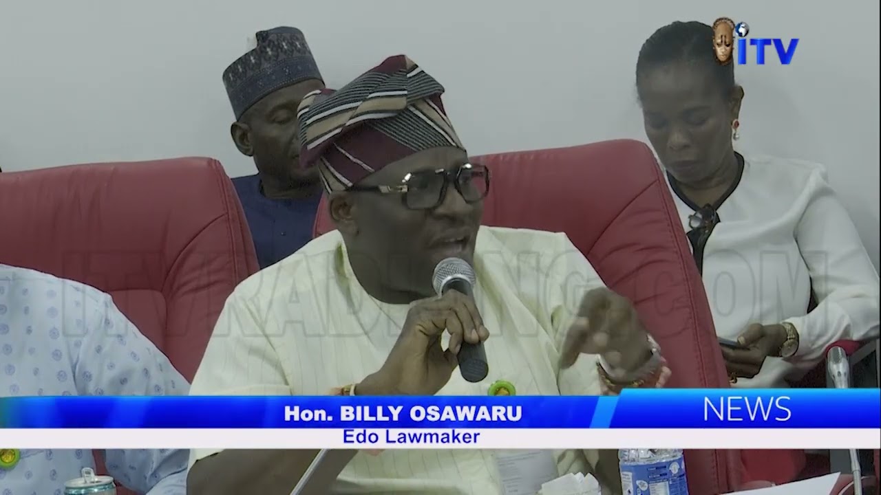 2027 GENERAL ELECTIONS: Edo Lawmaker, Billy Osawaru, Others Want INEC's Budget A Top Priority