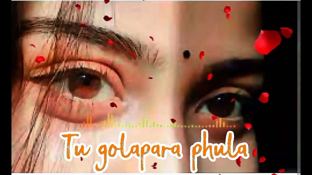 New Odia song 2026 Tu golapara phula