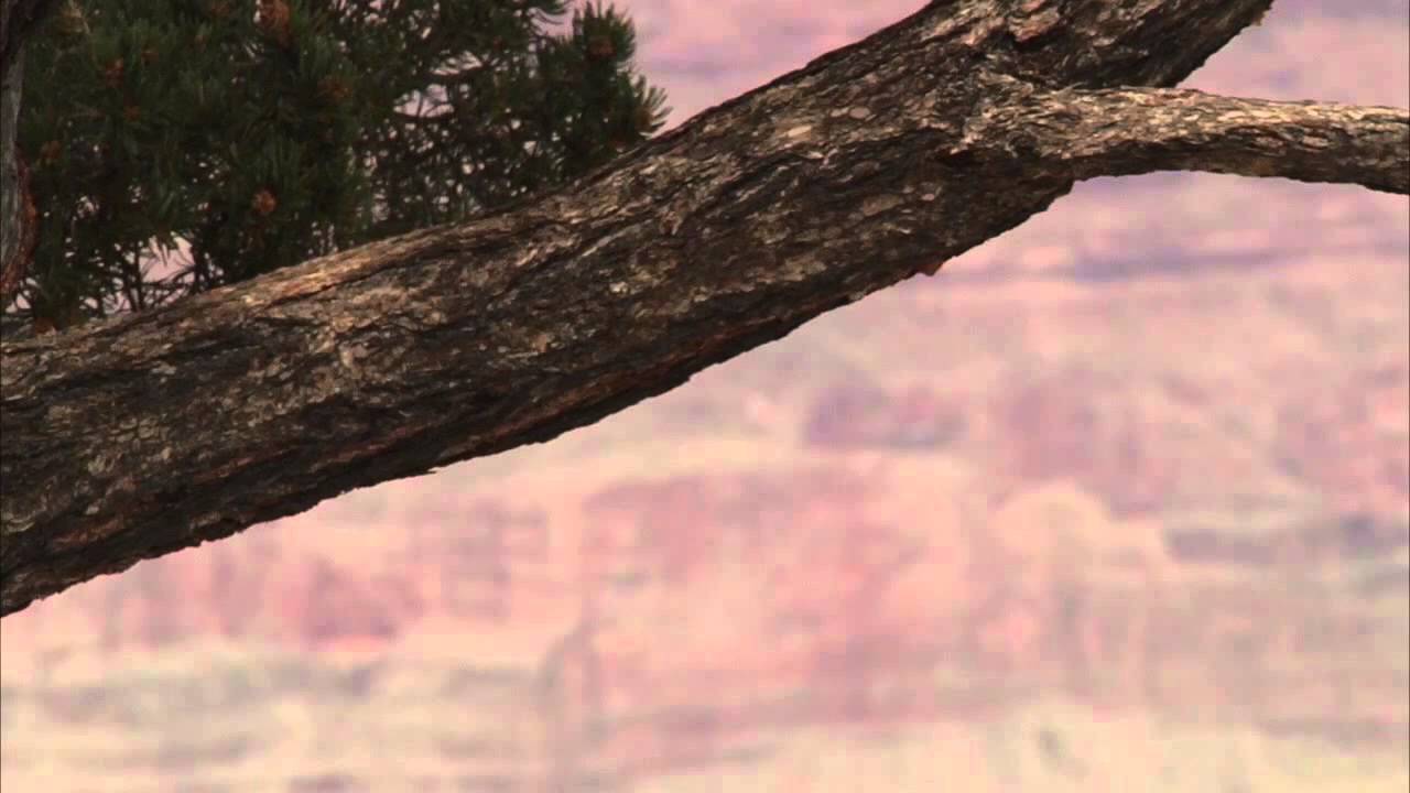 Permits Issued for Hiking Grand Canyon