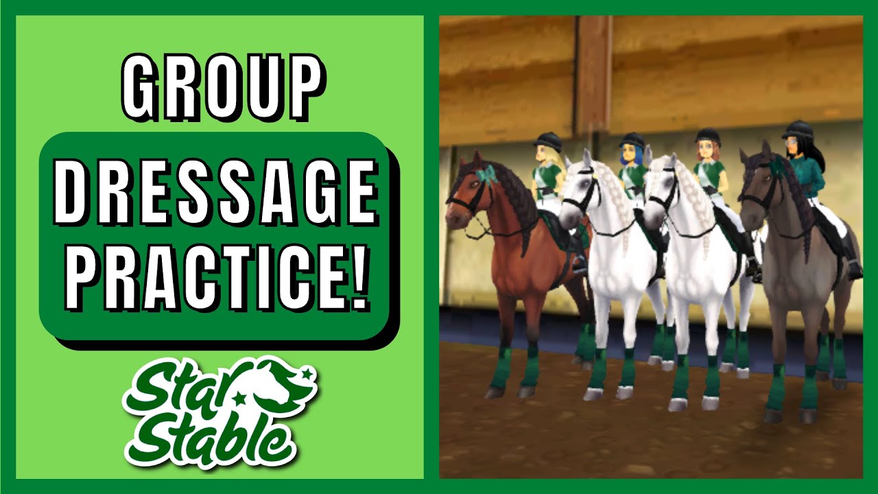 Inside a GROUP DRESSAGE LESSON with Emerald Hunters! 👩🏻‍🏫