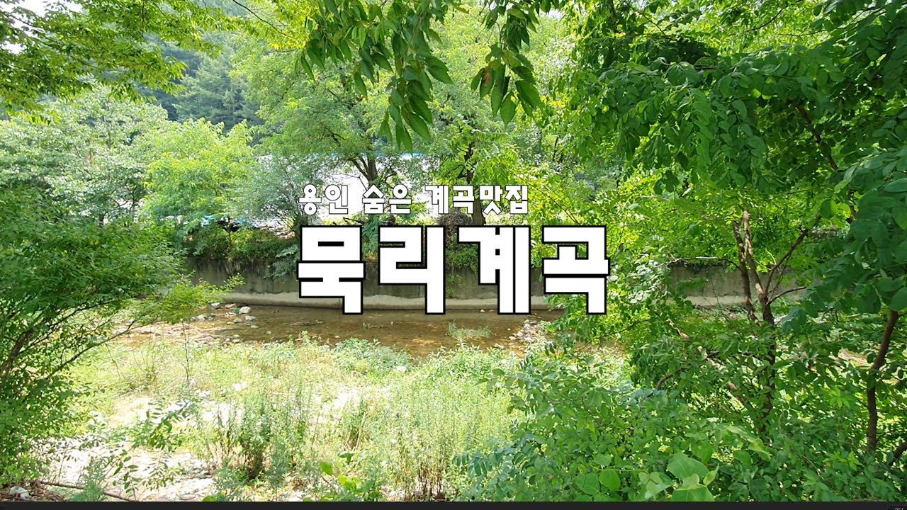 용인 묵리계곡 아이와 함께 가기 좋은 용인의 숨은 계곡 발견!