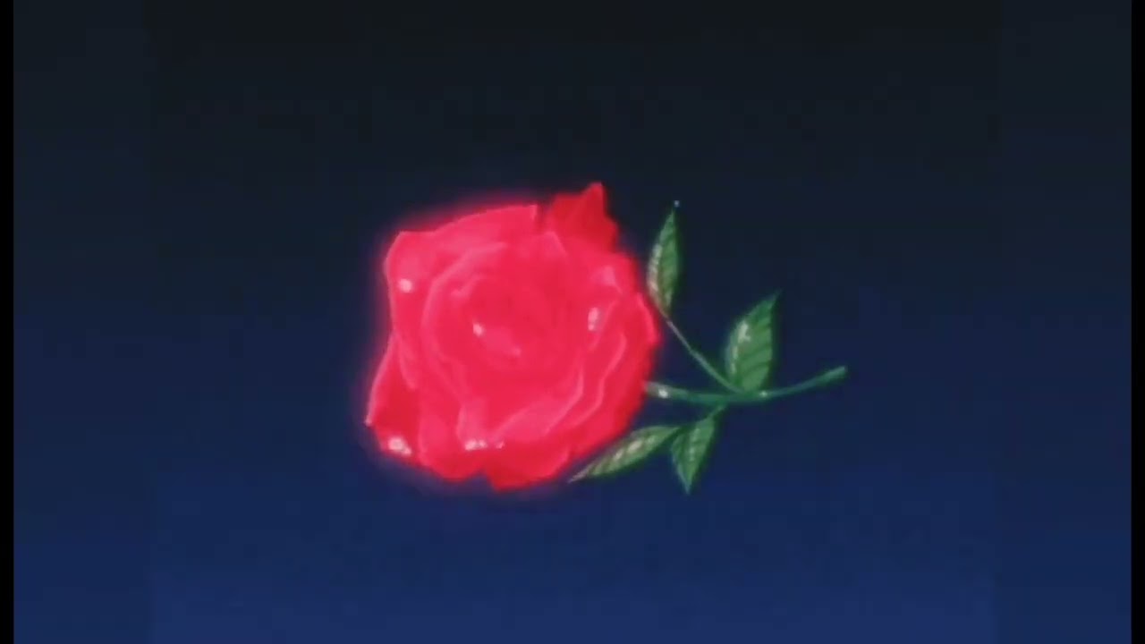 Chris Travis Red Roses Slowed To Perfection+Reverb