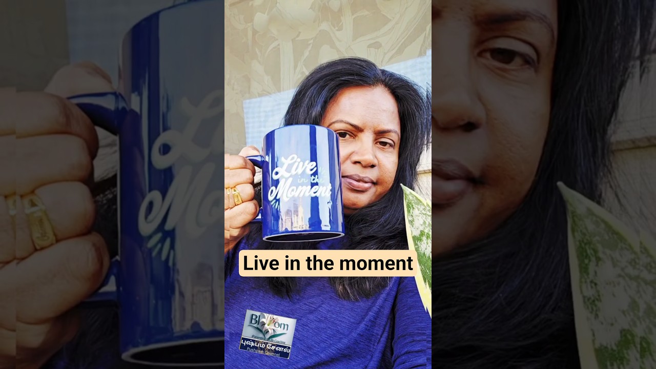 தமிழ்: Practice live in the moment-NOW 
