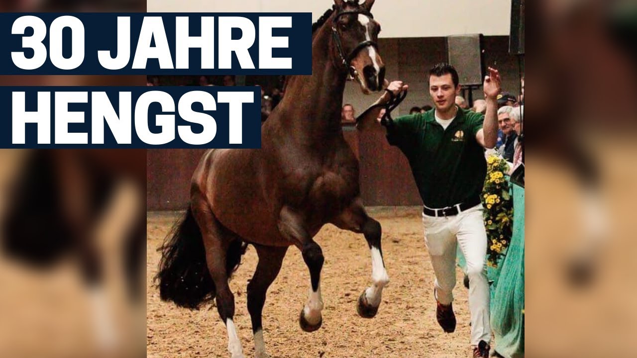 WOW! 30 Jahre alter Hengst - Heartbreaker - SUPER FIT! | Team Nijhof