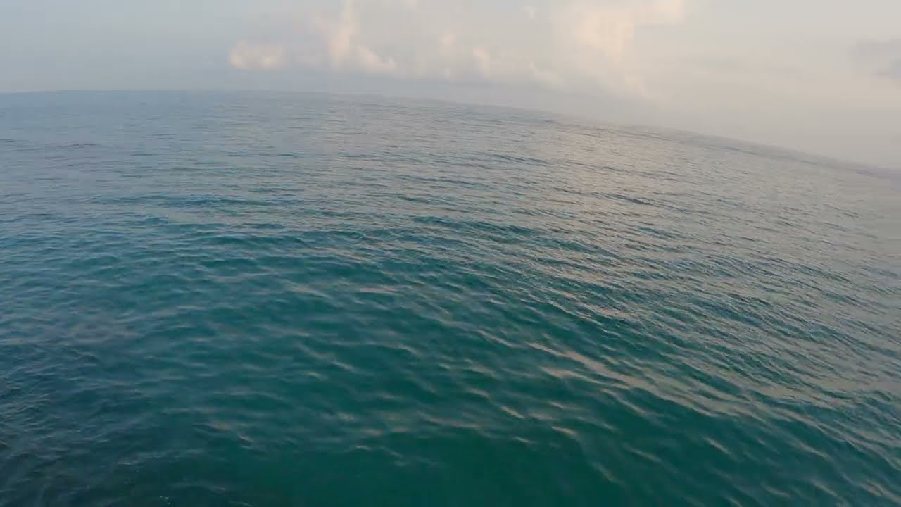 FISH PORT TOUR dito DIMIAO,BOHOL