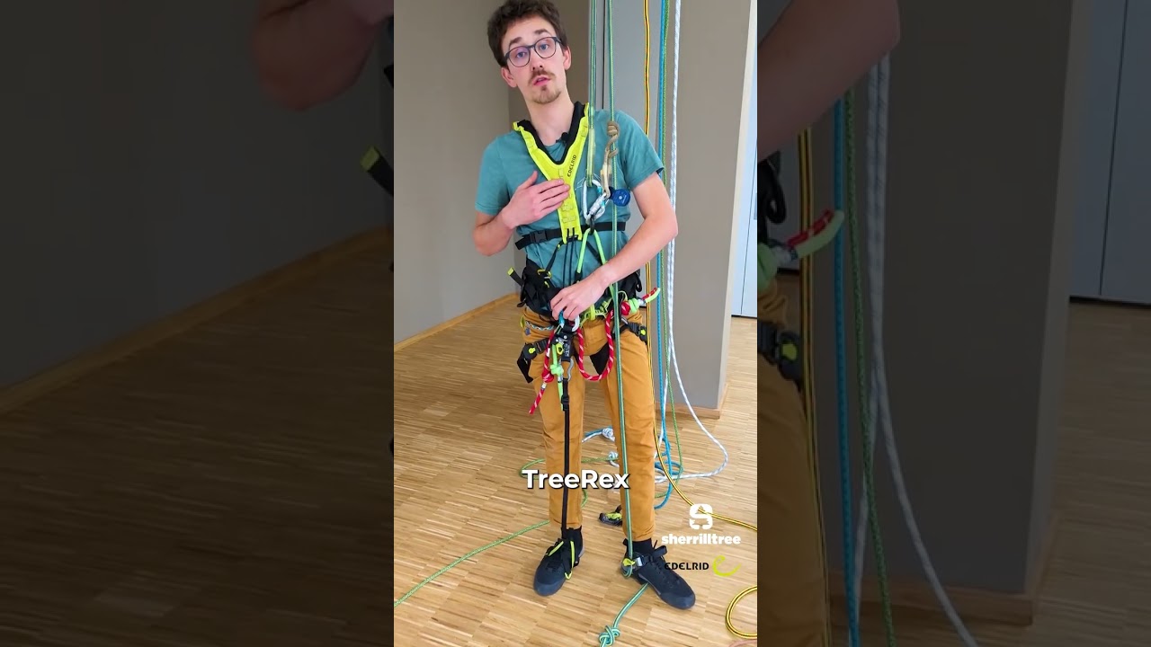 Elderid Knee Cruiser