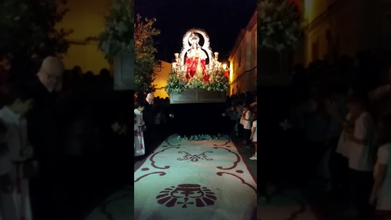 Vivencias del camino