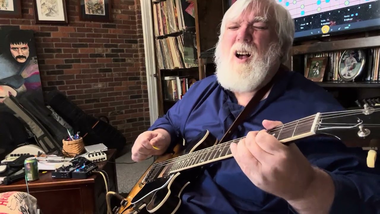 Snow Day ES-335 Blues 