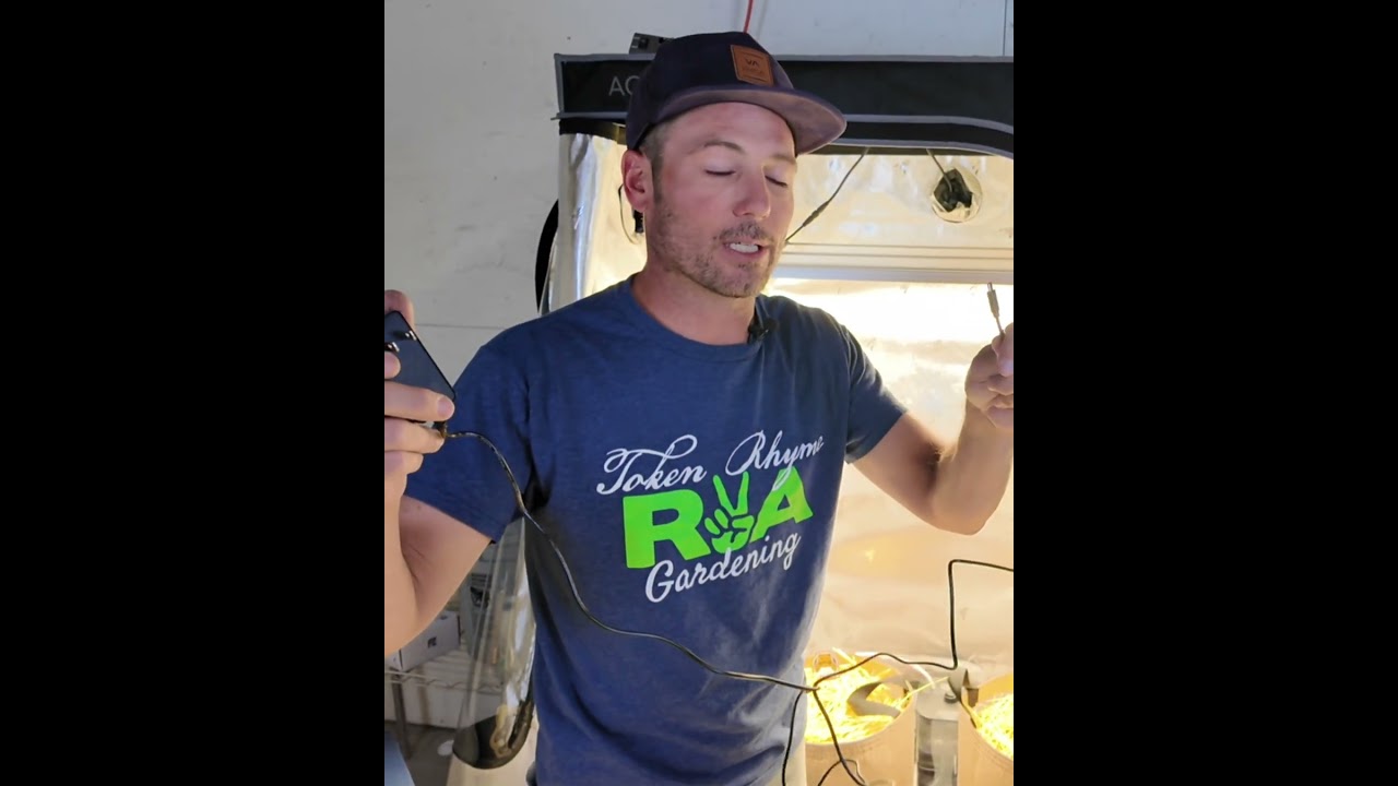 Easy Power & Sensor Setup in a 2x4 Grow Tent