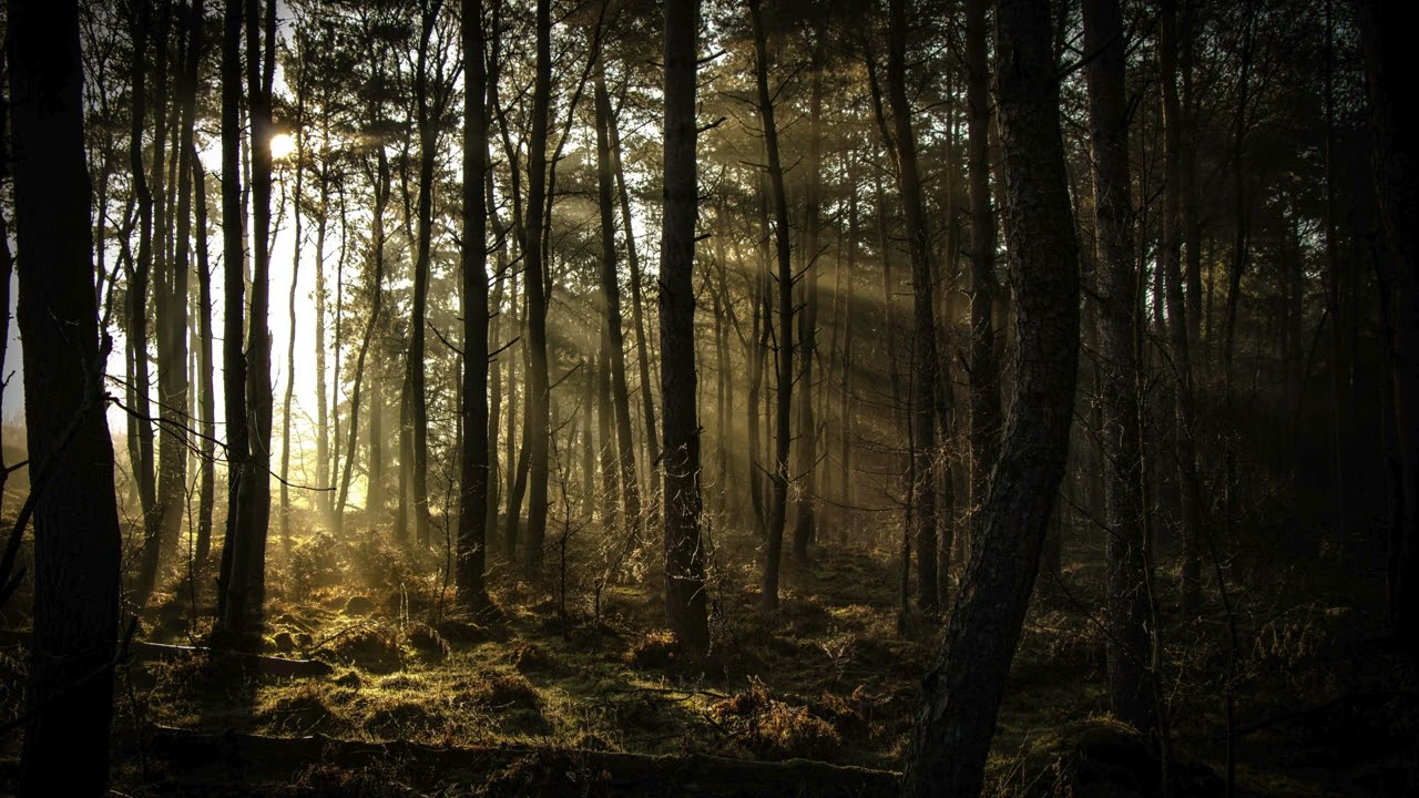 Mars Innovation & Change with Courage Resonance