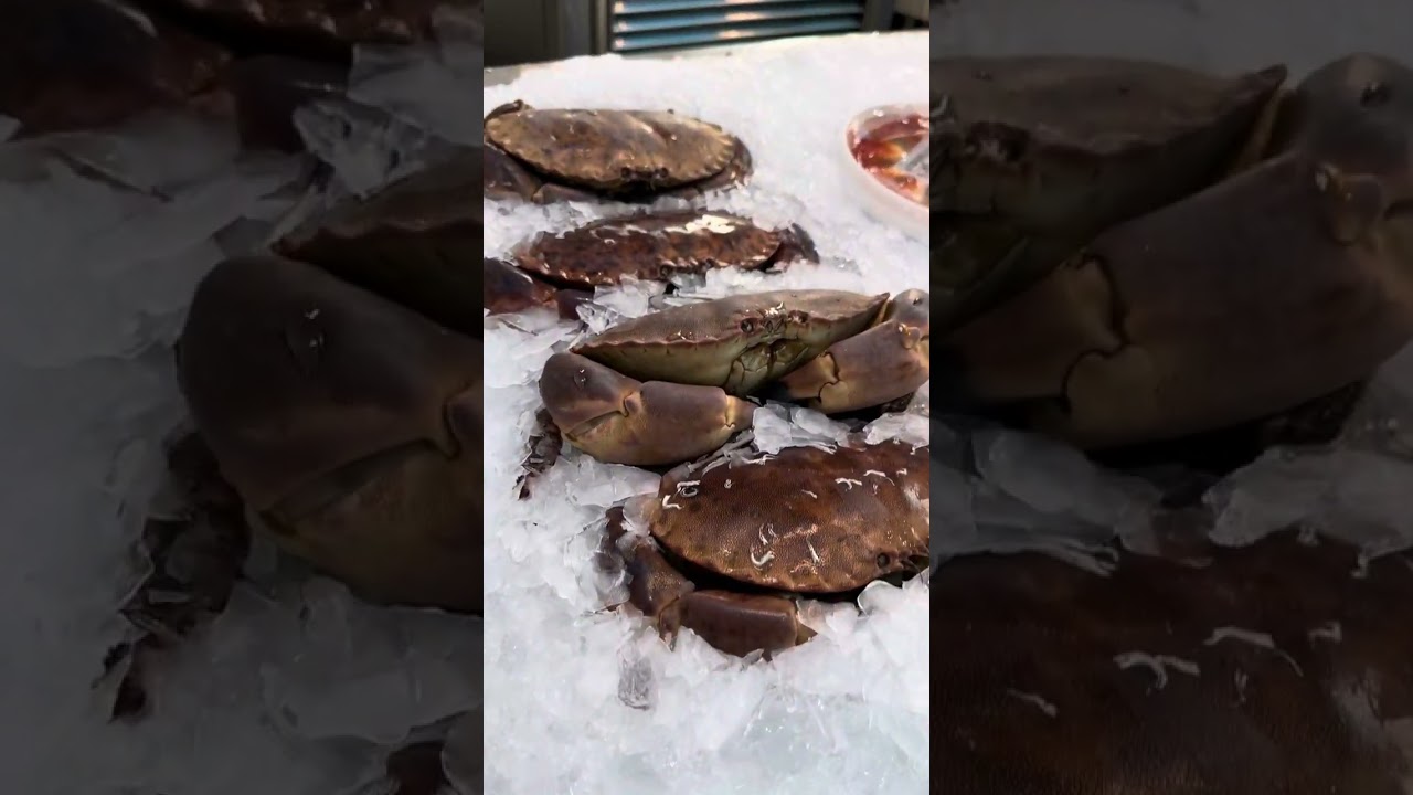 Fish Market with Aircon | Nakakamangha Mabango pa Sa Loob | Doha Qatar