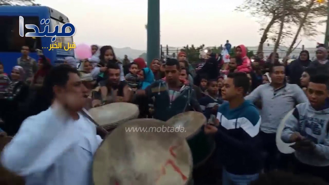 بالخيول ودق الطبول.. آلاف المنياوية والطرق الصوفية يحتفلون بالمولد النبى